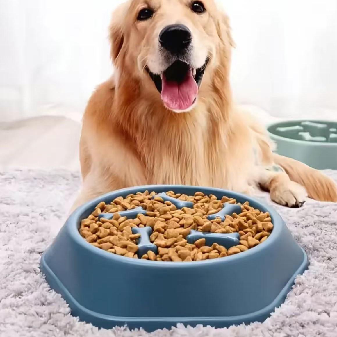 Slow Feeder Dog Bowl - İnteraktif Yavaş Besleme Kabı Boğulmayı Önleyici