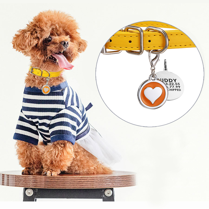 Pet Supplies Login - Pet kedi köpek deri yaka paslanmaz