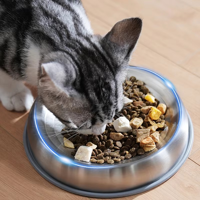 Slow Feeder Dog Bowl - 304 Paslanmaz Çelik Köpek Mamalıkları Evcil