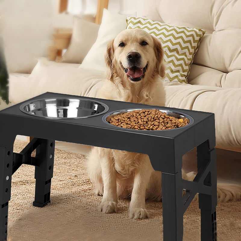 Slow Feeder Dog Bowl - BOOTEELY Yükseltilmiş Köpek Besleyici Kaseler Çift