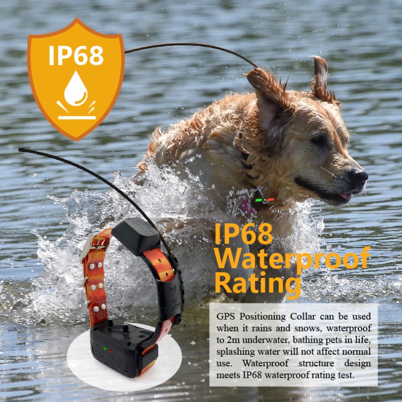 Pet Supplies Login - Kurumsal Köpek GPS Çit Yöneticisi: Özel