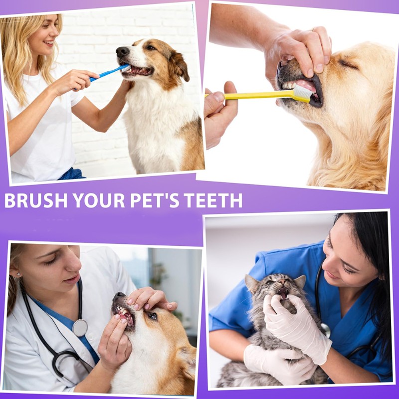 Dog Paw Cleaner - AB66-Köpek Ağız Hijyeni Aracı- 60 Başlı
