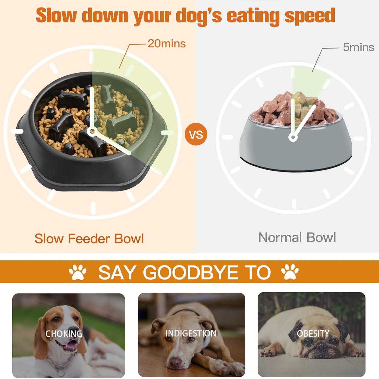 İnteraktif Yavaş Besleme Kabı  - Slow Feeder Dog Bowl incelemesi ve fiyatı