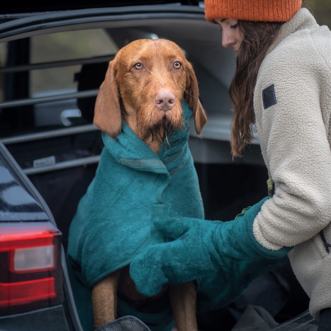 Evcil Hayvan Temizleme Eldiven - Dog Paw Cleaner incelemesi ve fiyatı