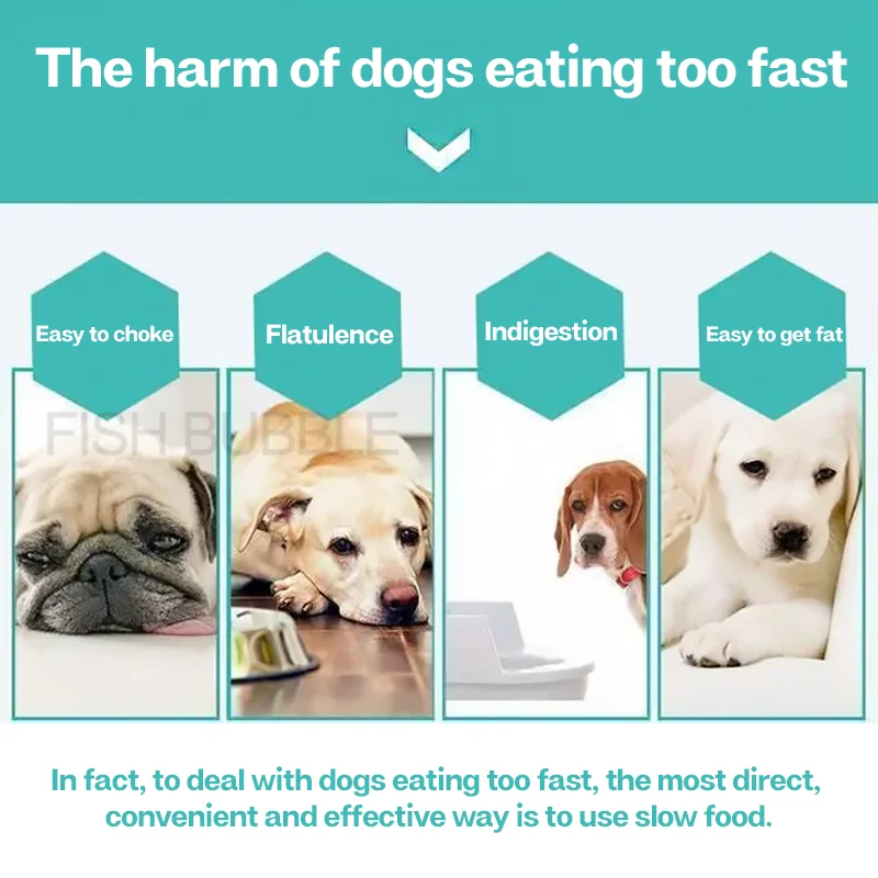 Köpekler ve kediler için Mat y - Slow Feeder Dog Bowl incelemesi ve fiyatı