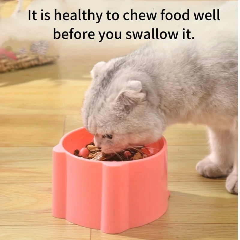 Kedi Mama Kabı, Pirinç Kabı, Y - Slow Feeder Dog Bowl incelemesi ve fiyatı