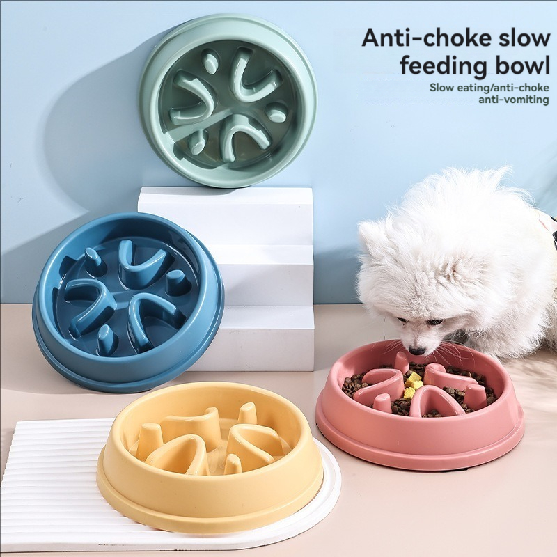 Evcil Hayvan Malzemeleri Köpek - Slow Feeder Dog Bowl incelemesi ve fiyatı