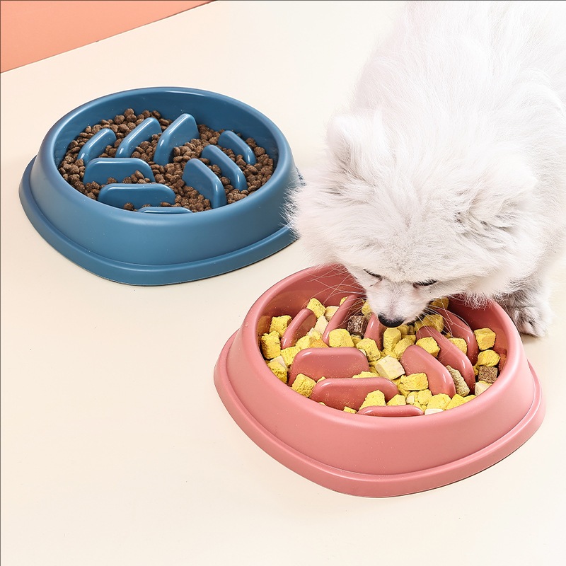 Evcil Hayvan Malzemeleri Köpek - Slow Feeder Dog Bowl incelemesi ve fiyatı