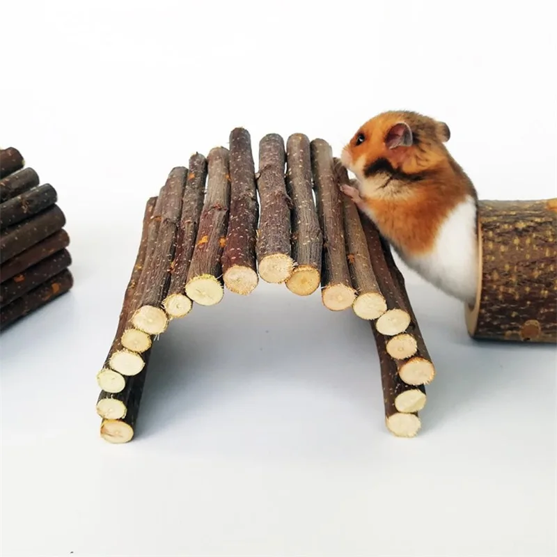 Küçük Evcil Hayvan Diş Kaşıyıc - Pet Supplies Login incelemesi ve fiyatı