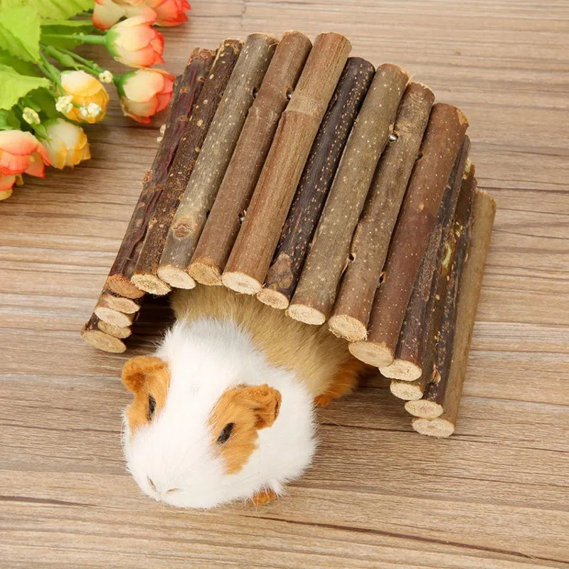Küçük Evcil Hayvan Diş Kaşıyıc - Pet Supplies Login incelemesi ve fiyatı