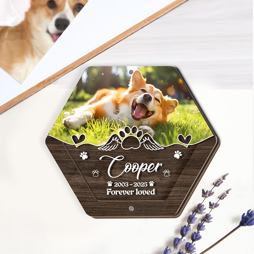 Kişiselleştirilmiş Adı Ahşap O - Pet Supplies Vending Machine incelemesi ve fiyatı