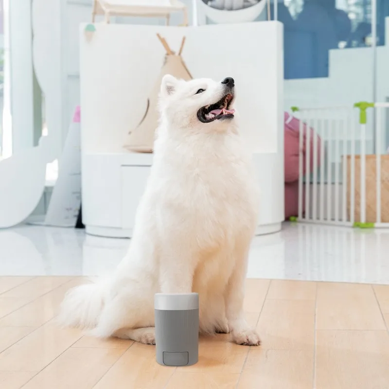 Köpekler ve Kediler için Yumuş - Dog Paw Cleaner incelemesi ve fiyatı