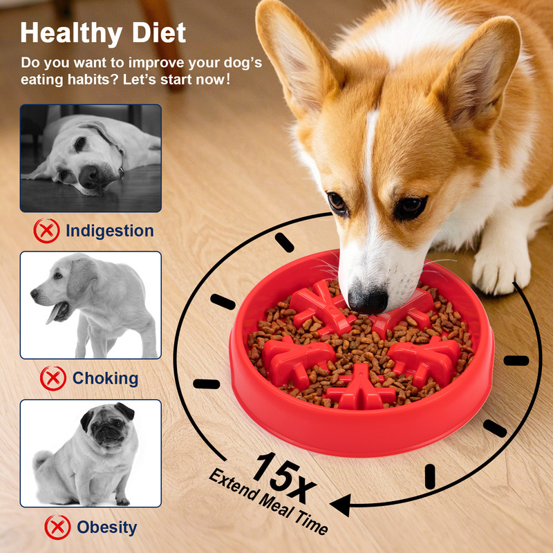 Evcil hayvan mama kabı, yavaş  - Slow Feeder Dog Bowl incelemesi ve fiyatı