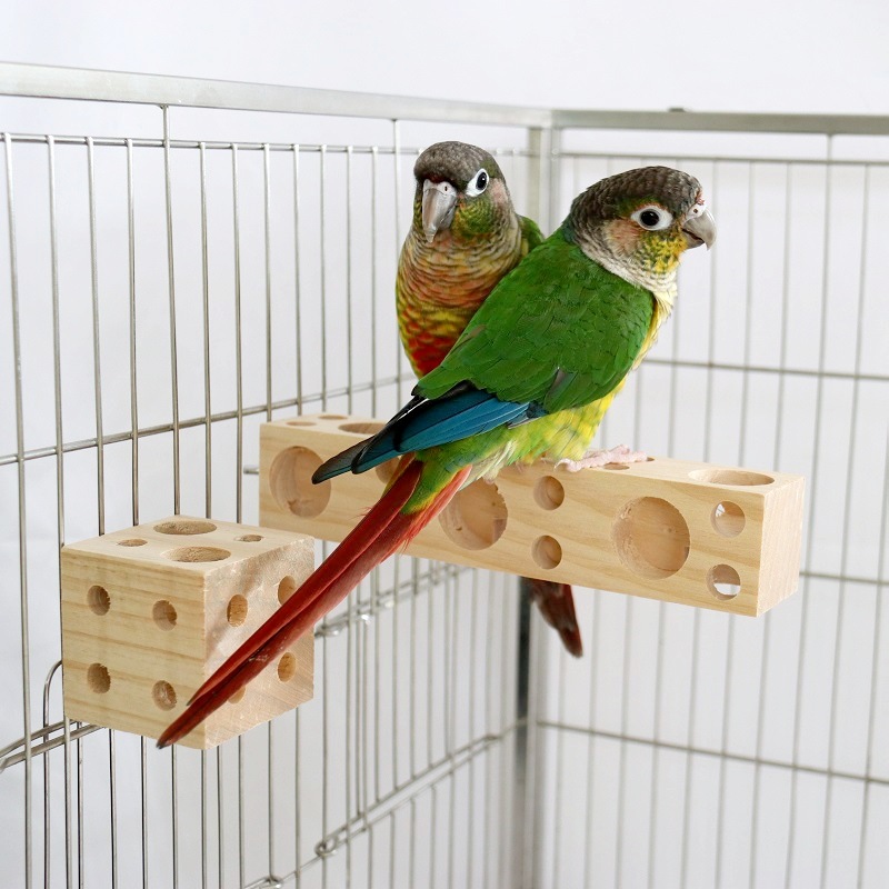 Papağan Isırıkları Ahşap Pet K - Pet Supplies Login incelemesi ve fiyatı